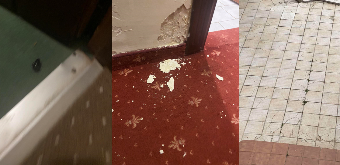 Πενταήμερη Κυπρίων μαθητών στη Θεσσαλονίκη παρέα με τρωκτικά και κατσαρίδες