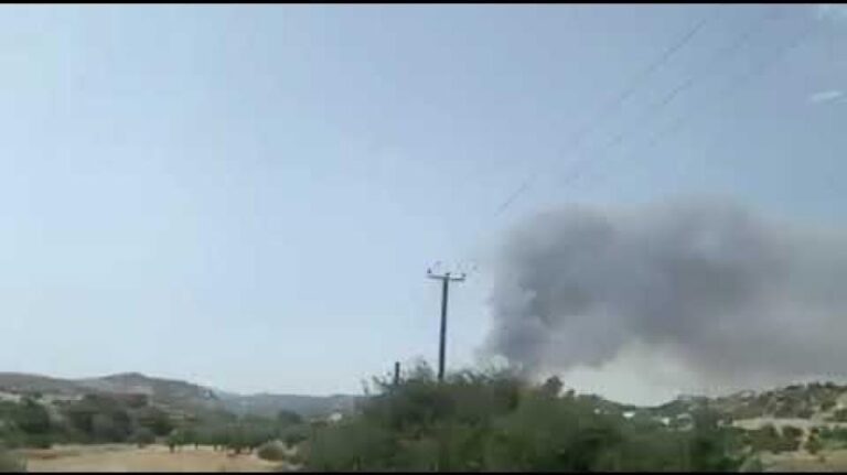 Μάχη με τις φλόγες σε Χοιροκοιτία-Βάβλα