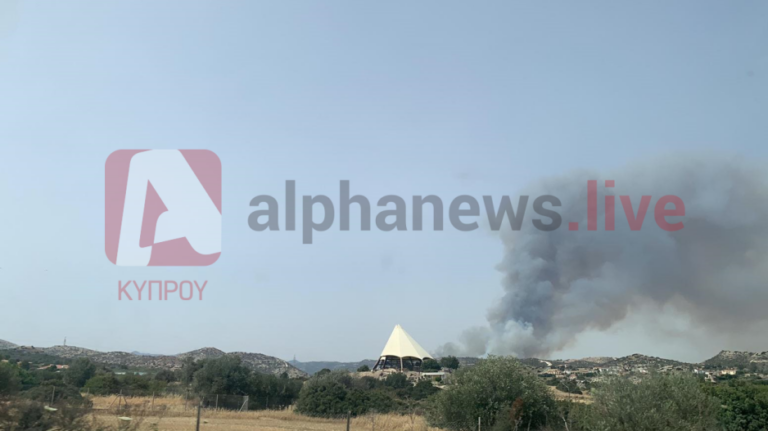 Ανεξέλεγκτη η πυρκαγιά, κινδύνευσαν κατοικίες και κτηνοτροφικά υποστατικά (ΦΩΤΟ)