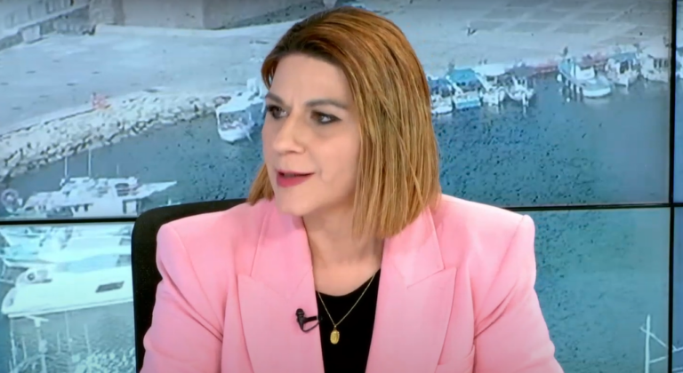 Ευαγγέλου: Στα σκαριά Εθνική Στρατηγική για την Αναπηρία