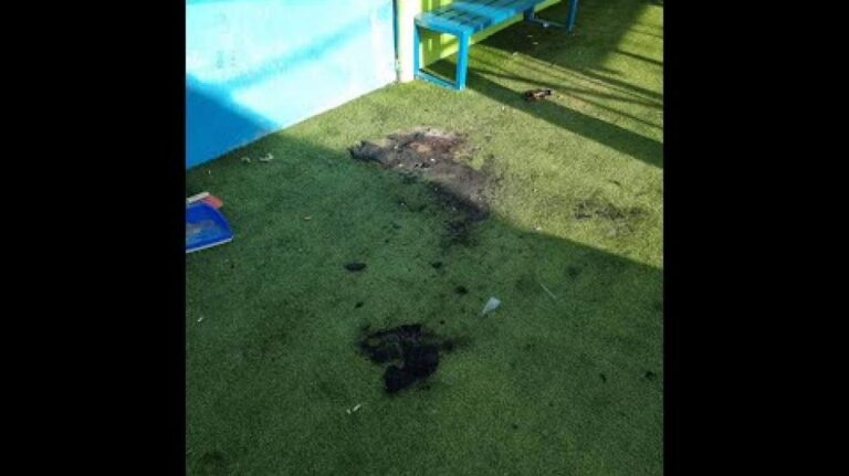 Βανδάλισαν Λανίτειο Λύκειο και 8ο Δημόσιο Νηπιαγωγείο