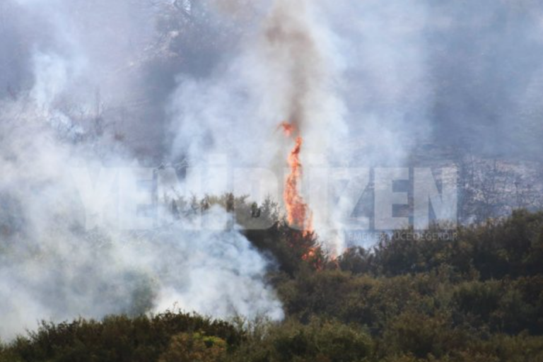 Πυρκαγιά στον Λιμνίτη: Ενδεχόμενο επέκτασης της και προς τις ελεύθερες περιοχές