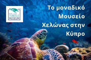 Άνοιξε το πρώτο μουσείο χελώνας στην Κύπρο