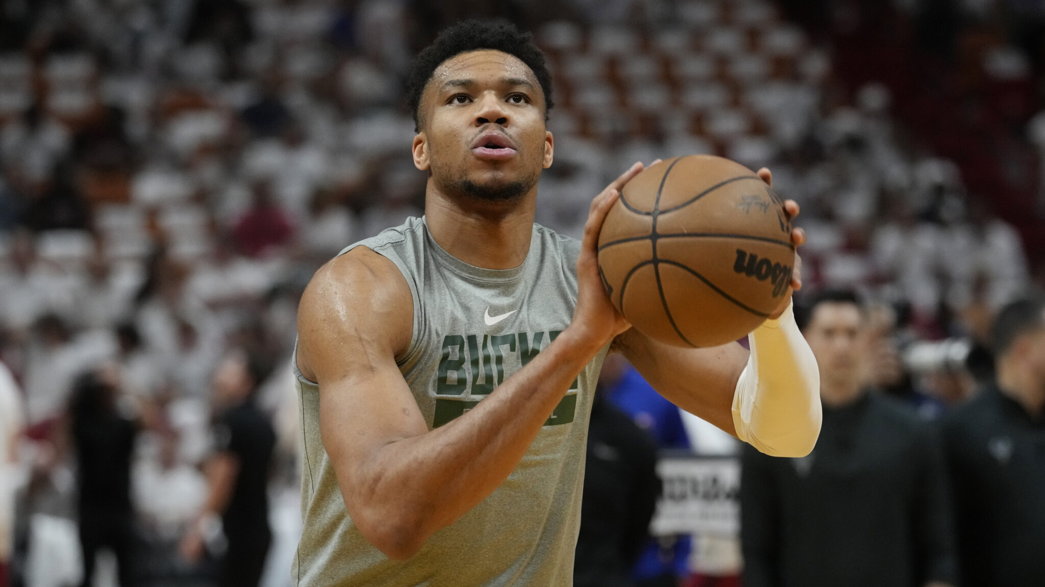 Γιάννης για Ζλάταν:«Τα λιοντάρια δε συγκρίνουν τον εαυτό τους με τους ανθρώπους»