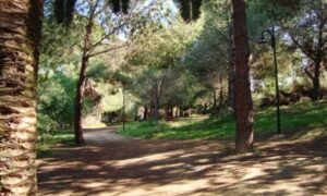 Αρχίζει το έργο ανάδειξης του Πάρκου Ακαδημίας ως προτύπου στη διαχείριση νερού