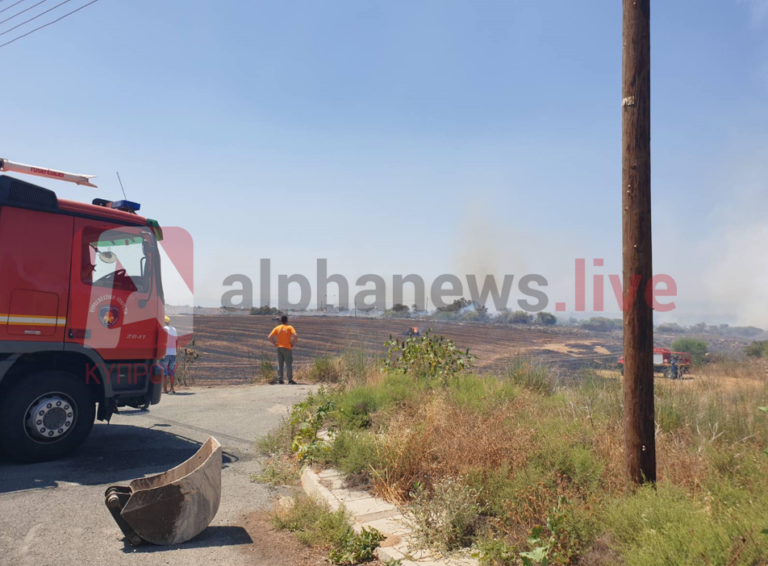 ΒΙΝΤΕΟ: Πυρκαγιά στη Δερύνεια, ανακλήθηκε προσωπικό για την κατάσβεσή της