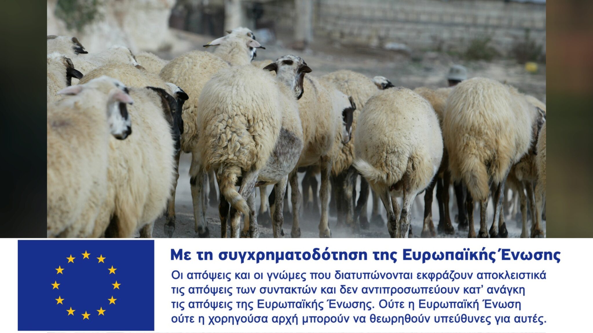 Οι αντιξοότητες στη γεωργία και κτηνοτροφία και η «ανάσα» μέσω ΚΑΠ