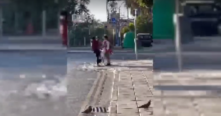 ΒΙΝΤΕΟ: Καρέ-καρέ η απόπειρα φόνου εναντίον 36χρονης στο κέντρο της Λευκωσίας