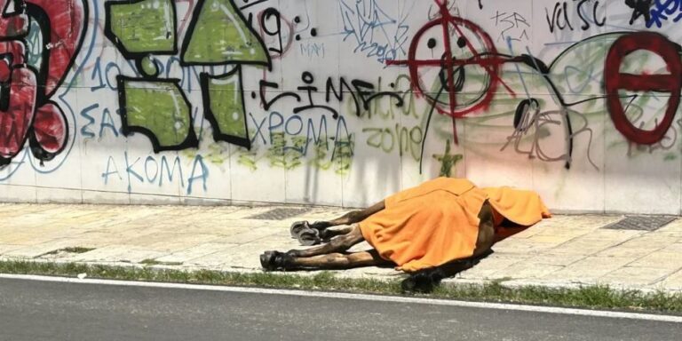 Κέρκυρα: Ελεύθερος ο ιδιοκτήτης του αλόγου που πέθανε στη μέση του δρόμου