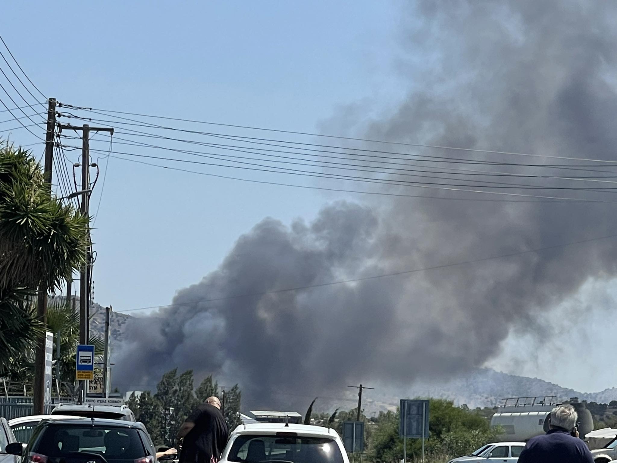 Πέντε εκτάρια με άγρια βλάστηση και πεύκα έγιναν στάχτη στην Κοφίνου