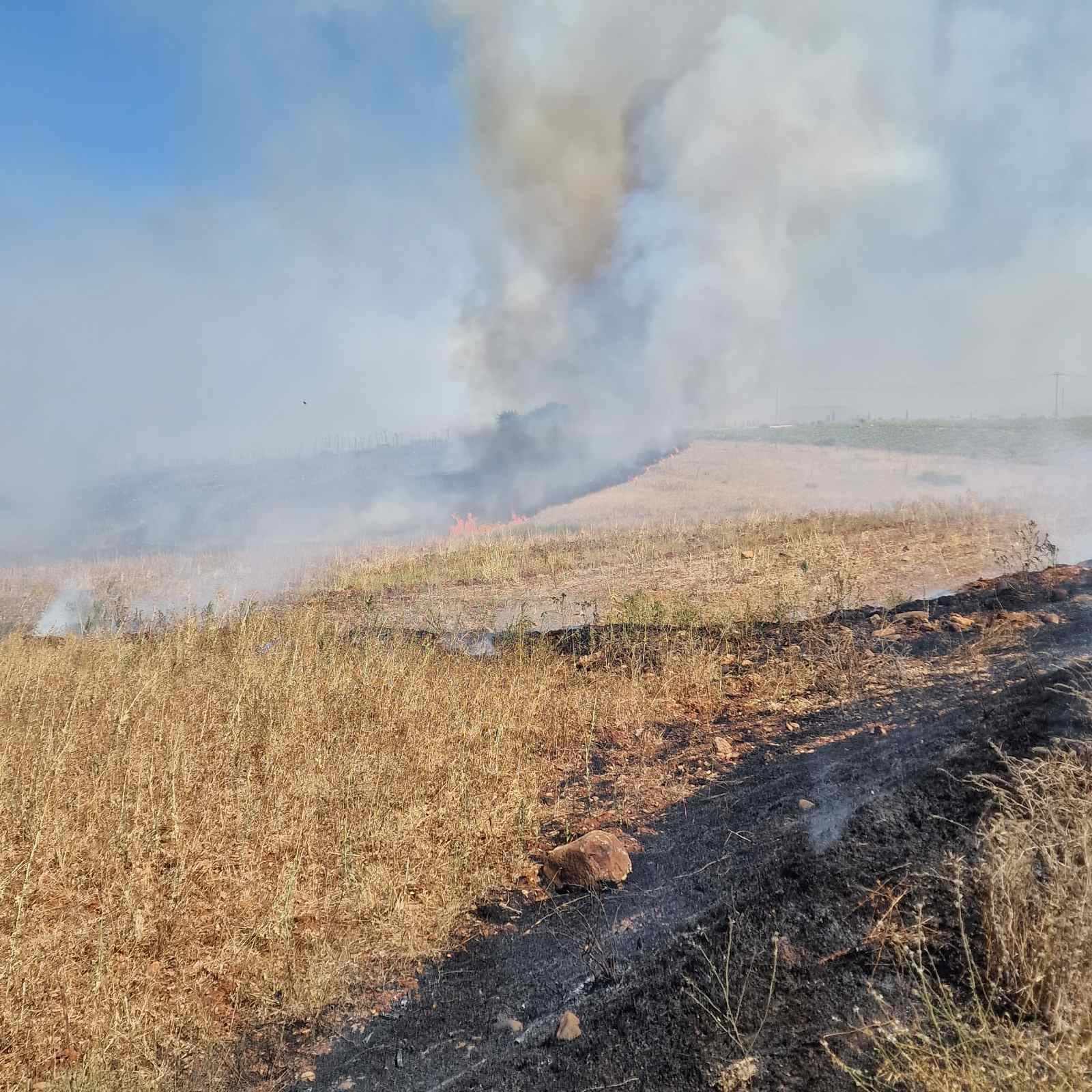 Προστατεύθηκαν κτηνοτροφικά υποστατικά και φωτοβολταϊκό πάρκο από πυρκαγιά