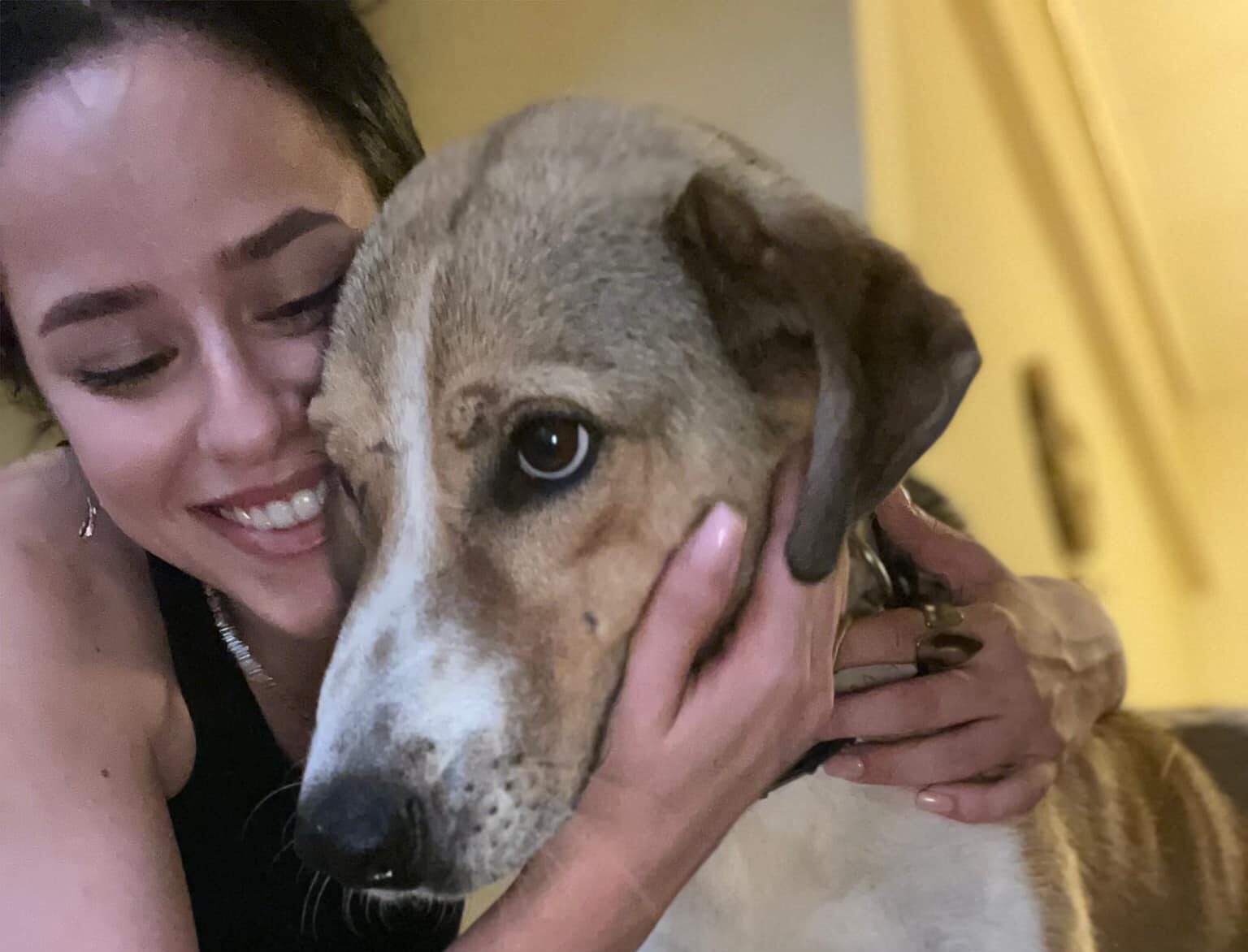 Η Ρόζα, ένα από τα σκυλάκια που σώθηκαν από τις φωτιές αναζητά σπίτι