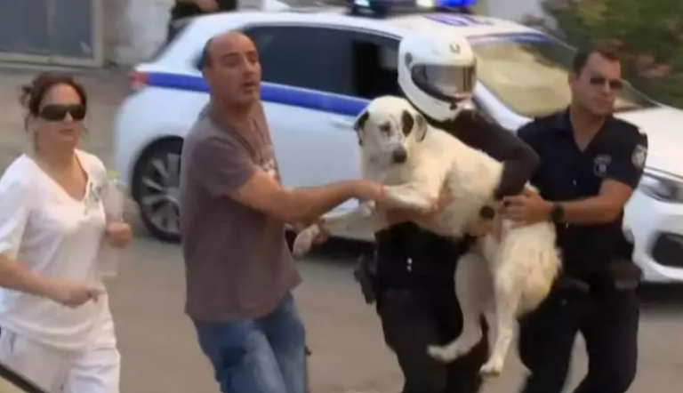 Η συγκινητική στιγμή που αστυνομικοί μεταφέρουν τρομοκρατημένο σκυλί