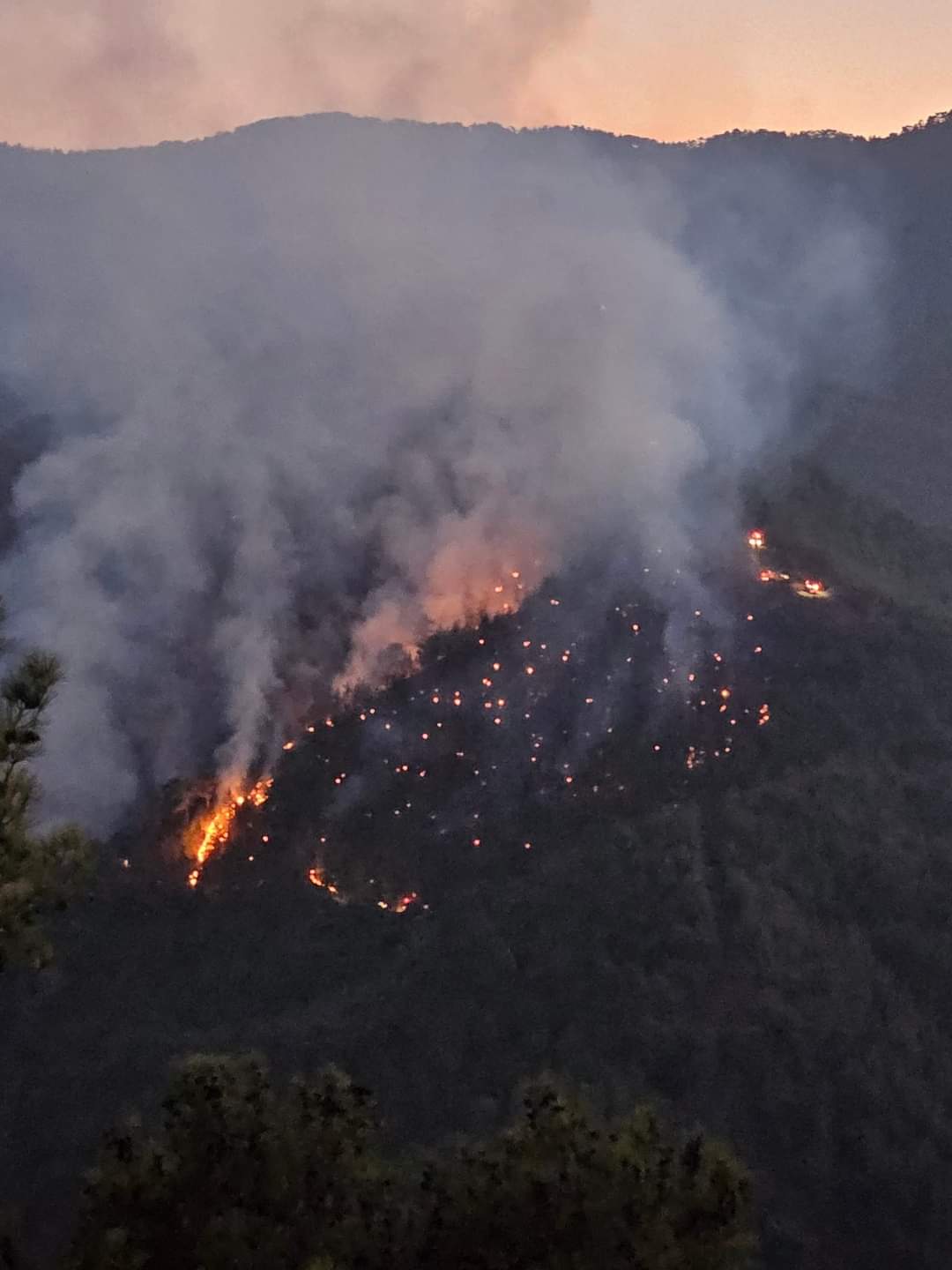 Τρεις δασοπυροσβέστες τραυματίστηκαν κατά την κατάσβεση της φωτιάς στην Πάφο