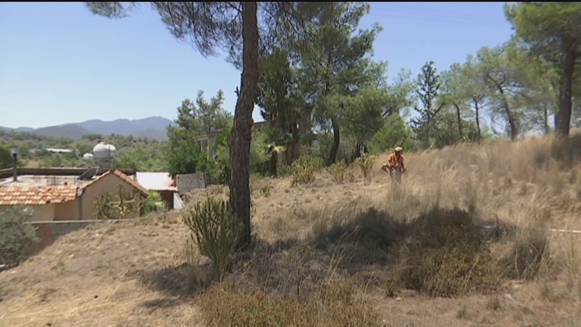 "Προσάναμμα" για μεγάλες πυρκαγιές χόρτα και άγρια βλάστηση σε χωράφια