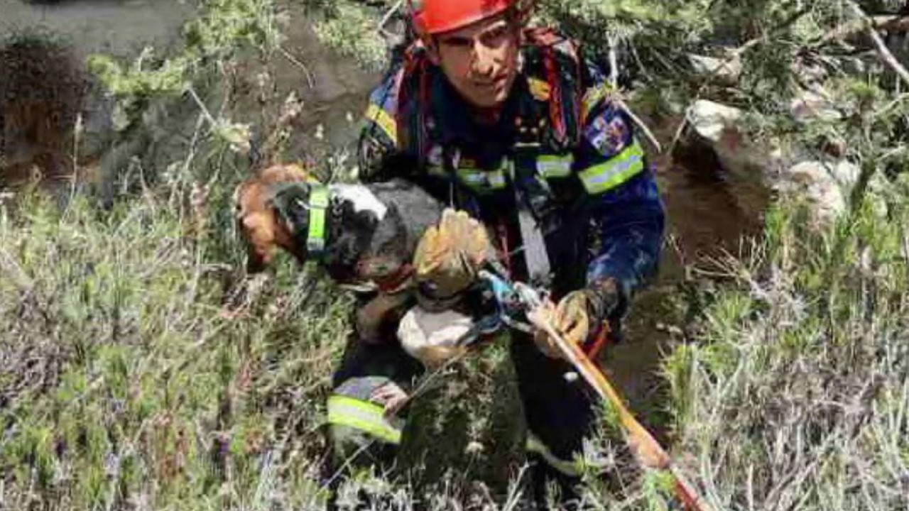 ΒΙΝΤΕΟ: Καρέ καρέ η διάσωση σκύλου που έπεσε σε χαράδρα βάθους 200 μέτρων