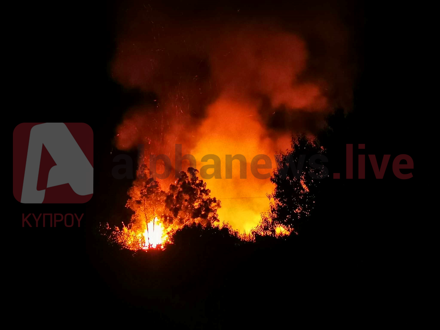 Άμεση παρέμβαση πυροσβεστών: Αποφεύχθηκε μεγάλη τραγωδία στην Πόλη Χρυσοχούς