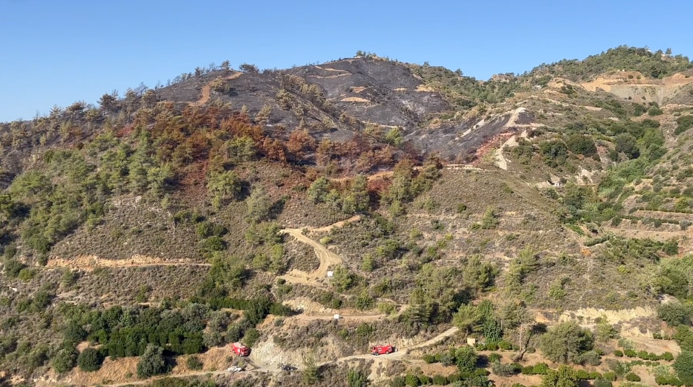 Καμένη γη ξημέρωσε στη Διερώνα: Ολονύχτια μάχη 200 πυροσβεστών (ΒΙΝΤΕΟ)