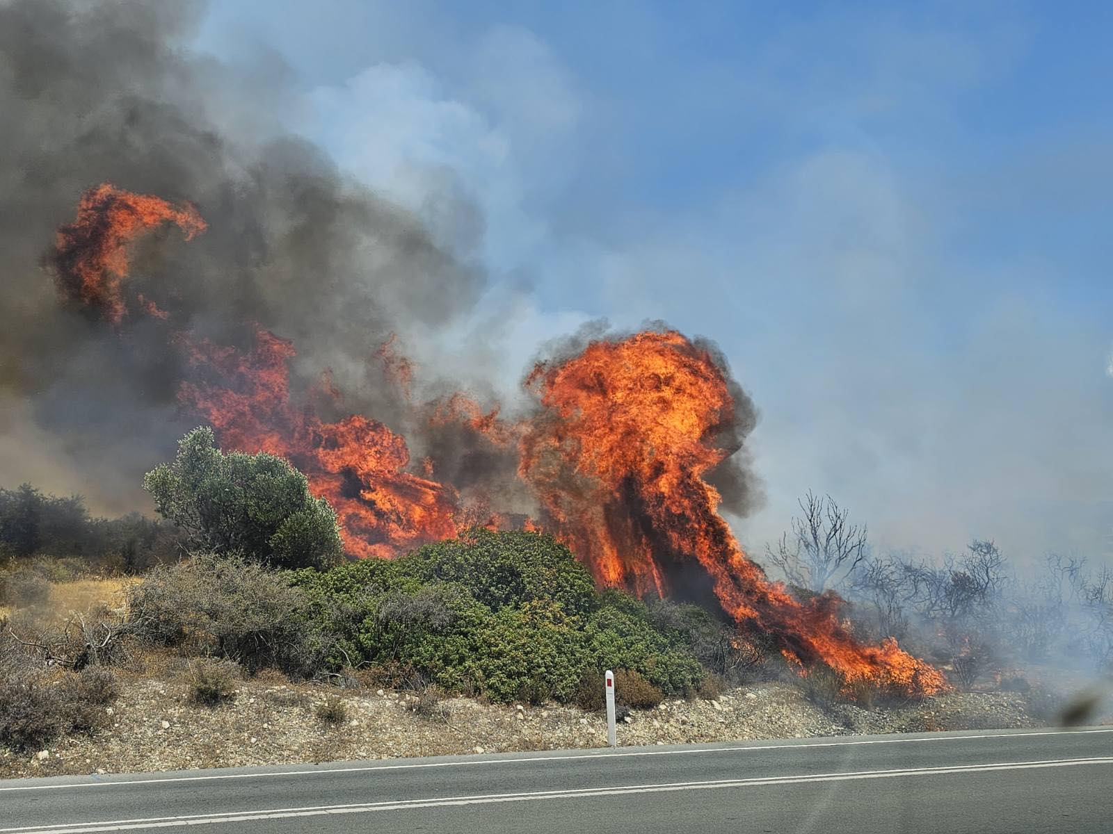 Σε κινητοποίηση η Πυροσβεστική: Μεγάλη πυρκαγιά στην περιοχή Άλασσας