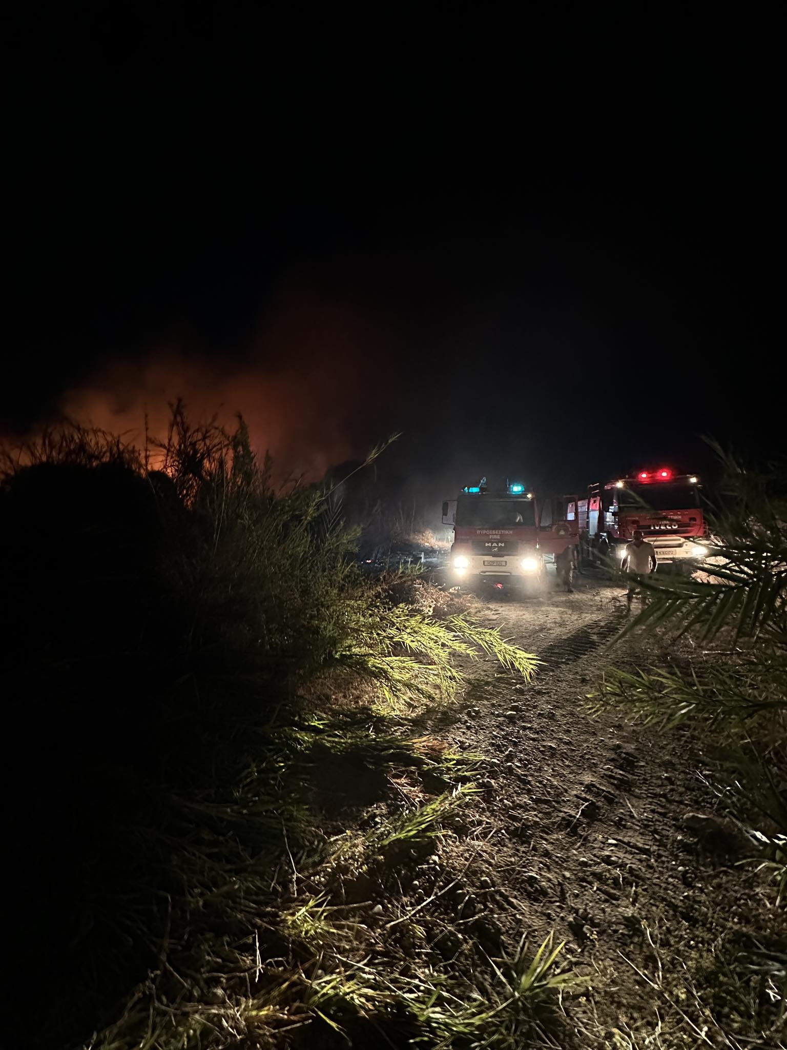 ΒΙΝΤΕΟ: Μεγάλη πυρκαγιά εκδηλώθηκε το βράδυ σε κοίτη ποταμού στην Πόλη Χρυσοχούς