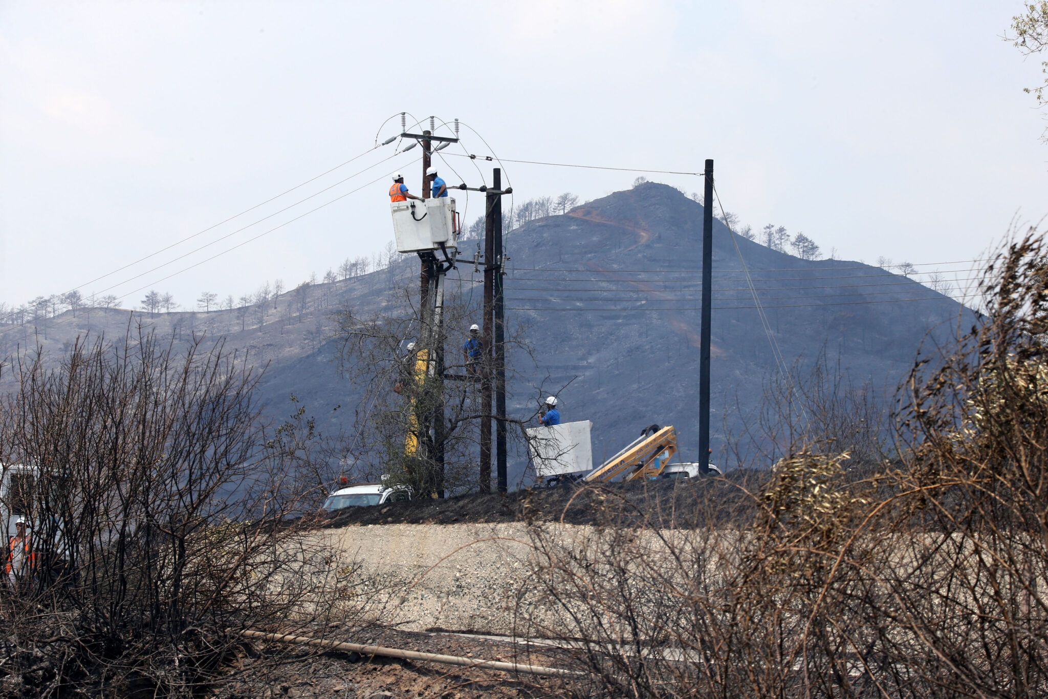 Ψάχνουν λύσεις για τα 475 επικίνδυνα σημεία ηλεκτροδότησης που απειλούν τα δάση