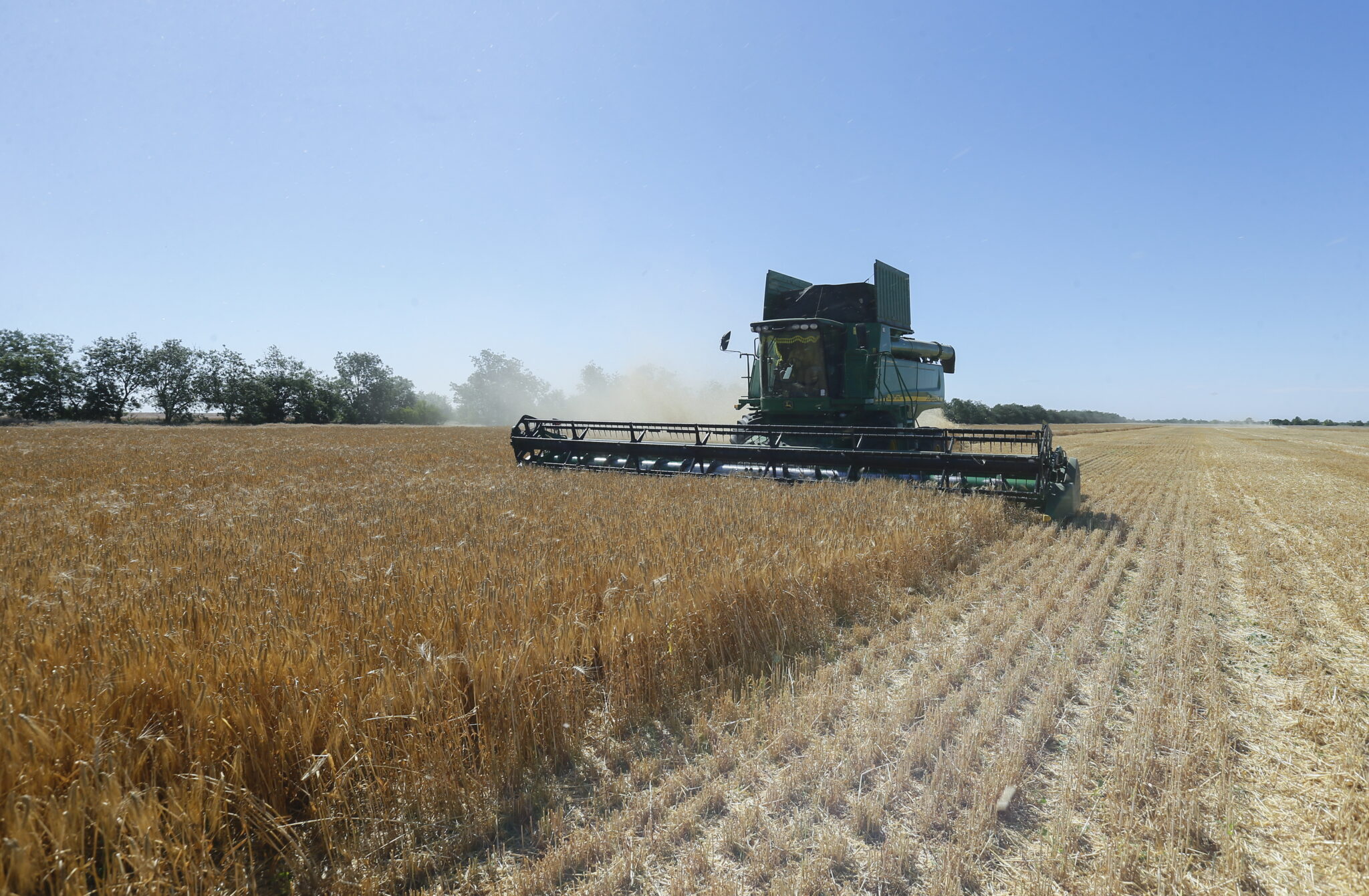 Αποθέματα σιτηρών για ένα μήνα στη Κύπρο, όχι πανικός λέει το Υπουργείο Γεωργίας