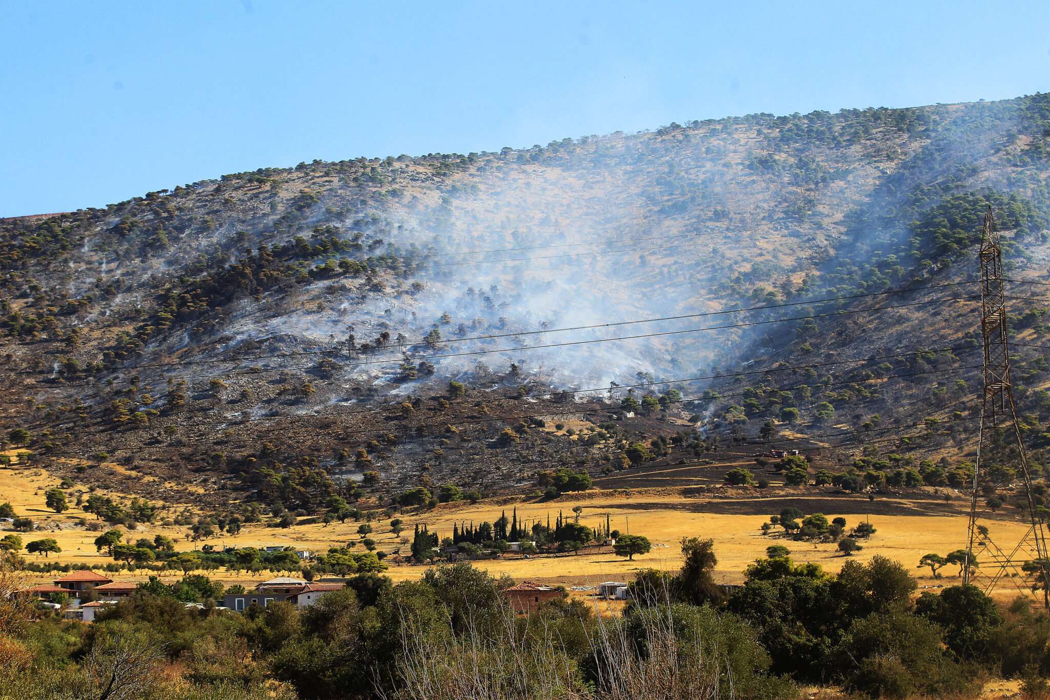 Υψηλός κίνδυνος πυρκαγιών λόγω ισχυρών ανέμων από σήμερα στην Ελλάδα