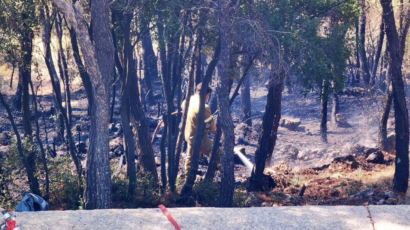 Ελλάδα: Ανυπολόγιστη ακόμη η αποτίμηση των καμένων εκτάσεων