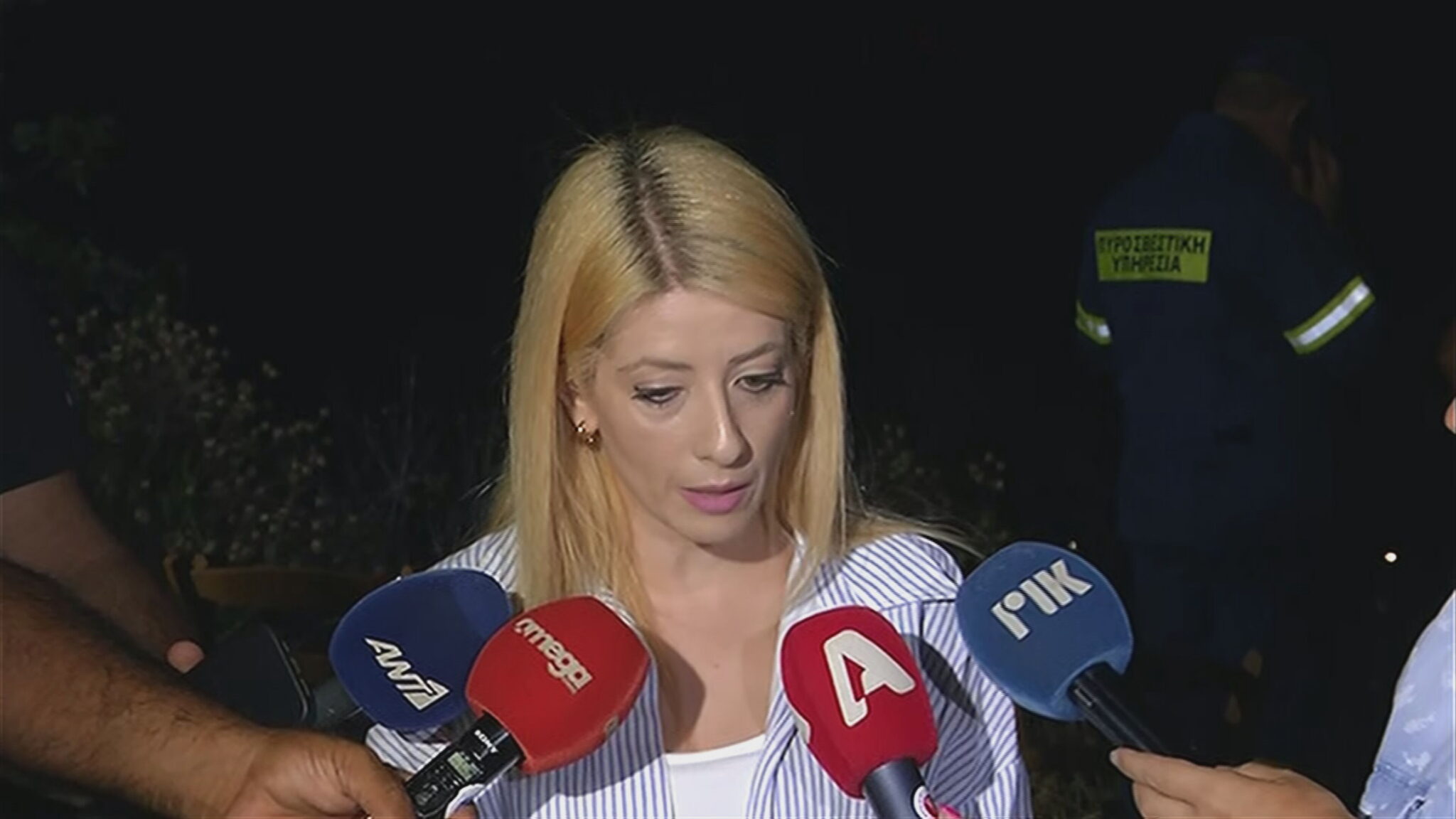 Αννίτα Δημητρίου: «Θα έρθει βοήθεια και από το Ισραήλ» για τη φωτιά στη Λεμεσό