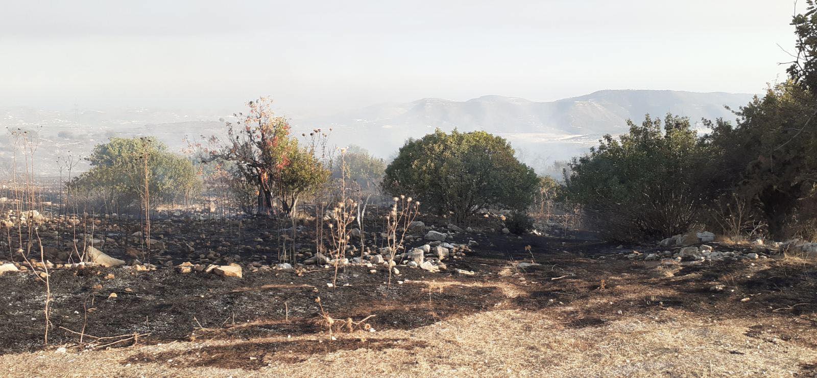 Κακόβουλη ενέργεια «βλέπουν» οι Αρχές πίσω από την φωτιά στην Επ. Λεμεσού
