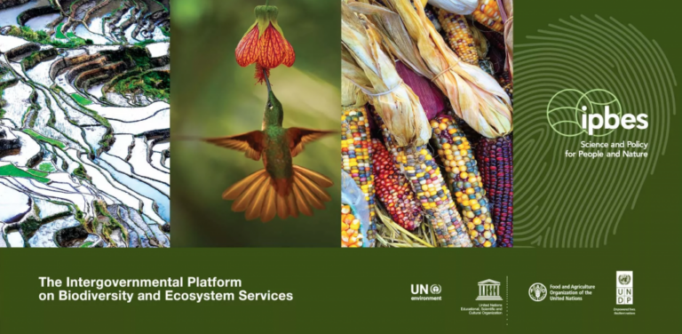 Διεθνής Έκθεση: Κίνδυνος για Βιοποικιλότητα, Ανθρώπινη Υγεία και Οικονομία