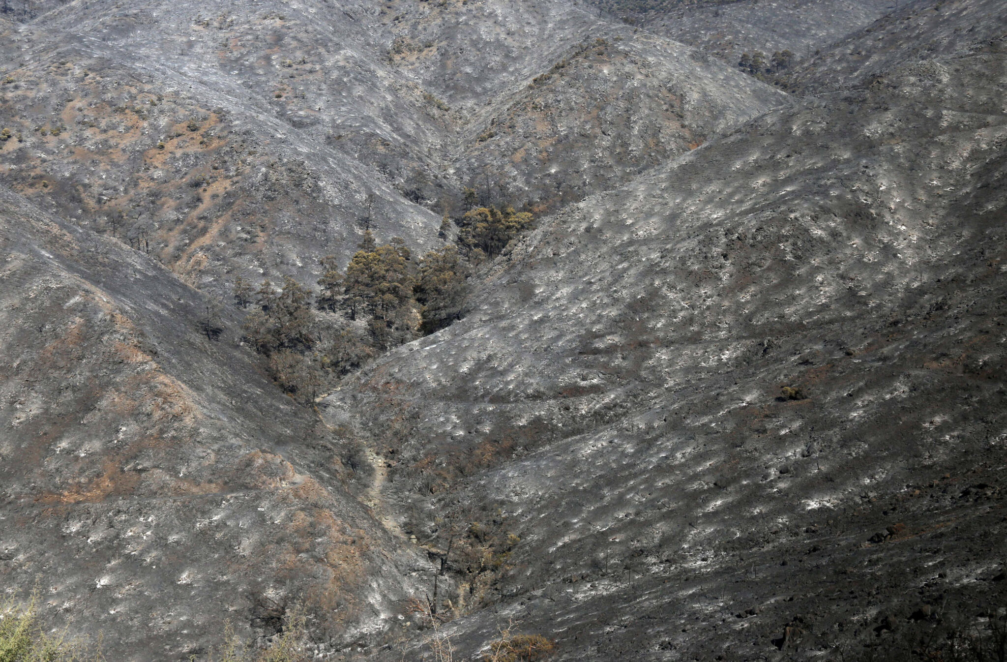 Υπό μερικό έλεγχο η πυρκαγιά στη Λεμεσό, κάηκε δασική βλάστηση 6,5 km2