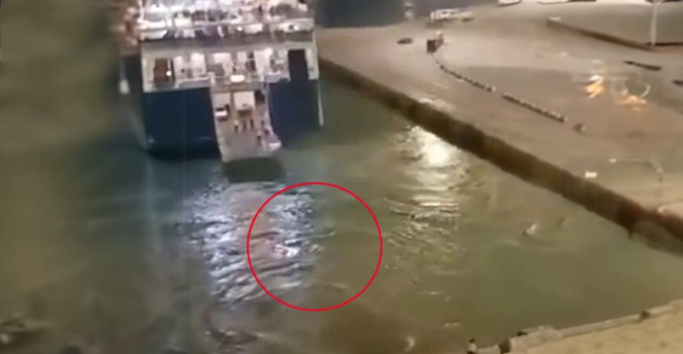 Θάνατος Αντώνη: Απομακρύνονται λιμενάρχης Πειραιά και διοικητής του Α΄λιμενικού