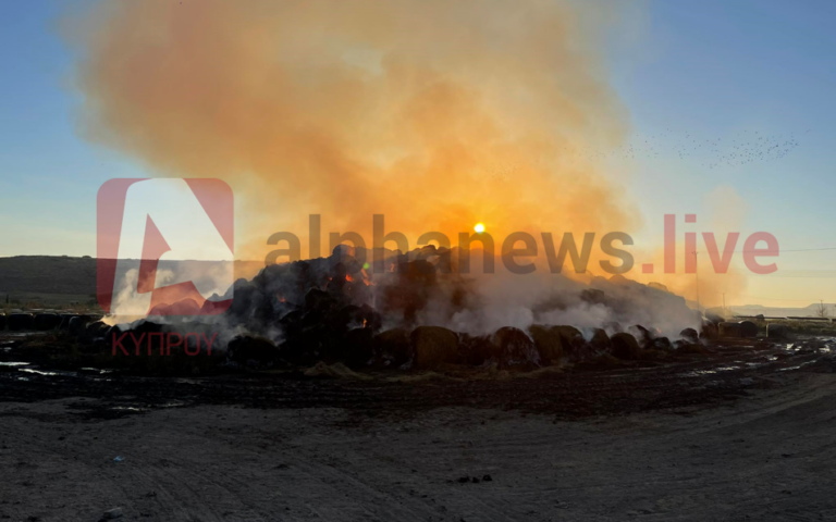 ΒΙΝΤΕΟ: Καίει ακόμη η φωτιά στην Ποταμιά, κινδύνευσε φάρμα ζώων