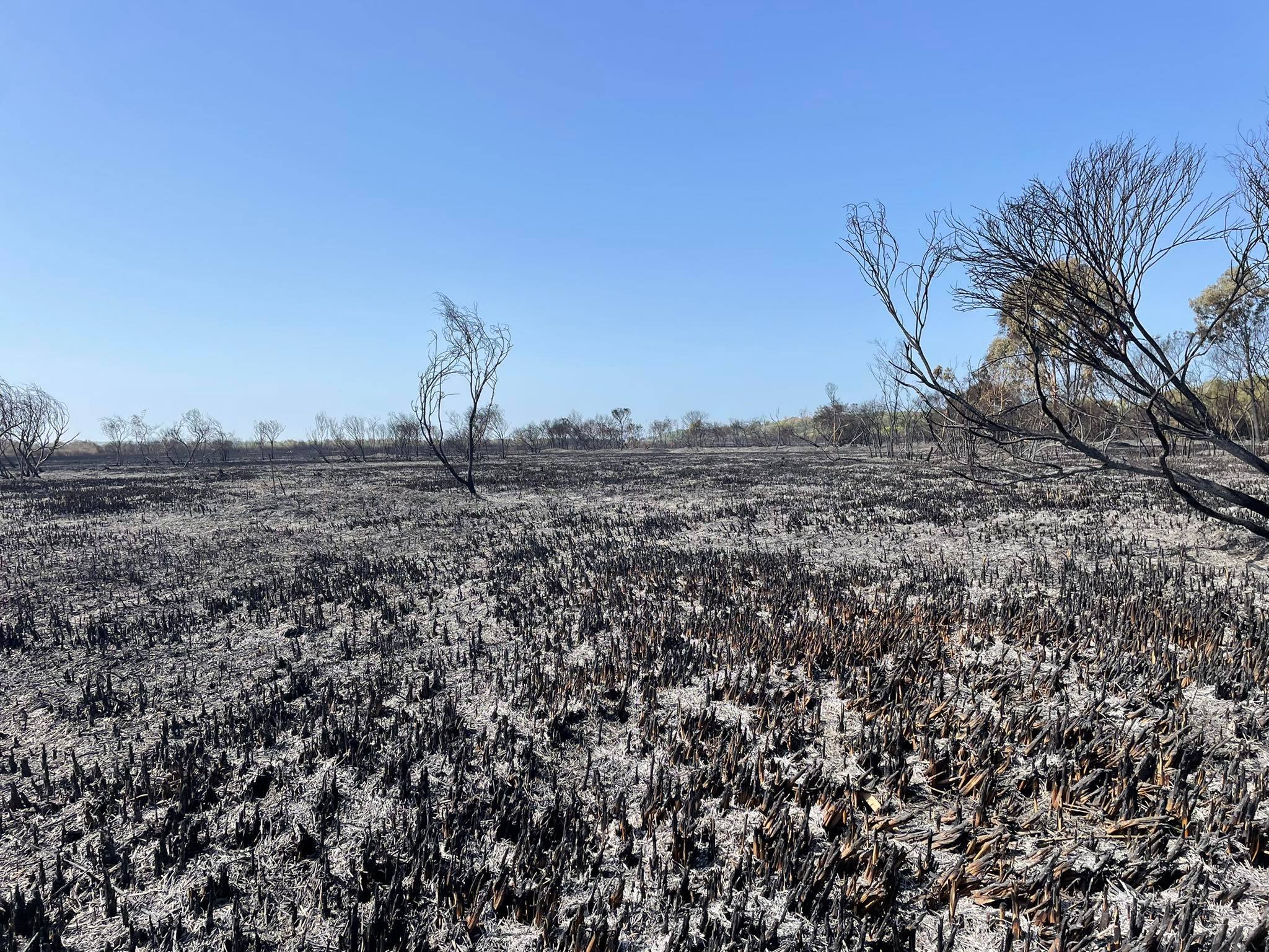Πρόλαβαν τα χειρότερα από δασική πυρκαγιά στη Δρυνιά της επαρχίας Πάφου