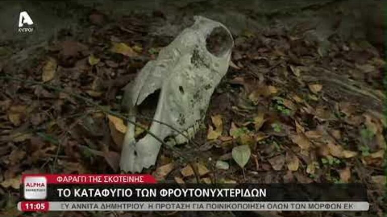 Στο φαράγγι της…Σκοτεινής