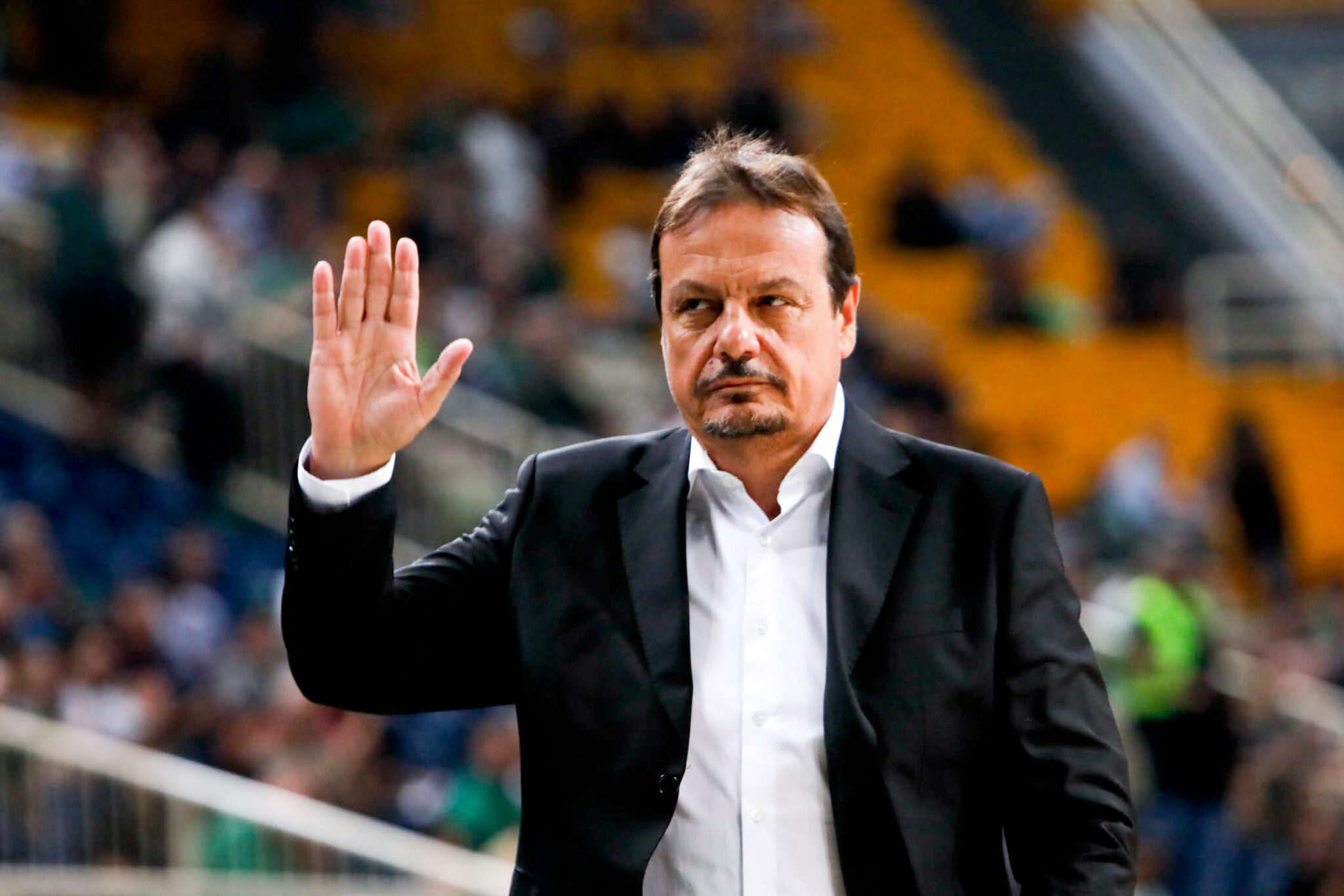 Αταμάν: «Να κρατήσουμε τον Παναθηναϊκό στο κορυφαίο επίπεδο» (BINTEO)