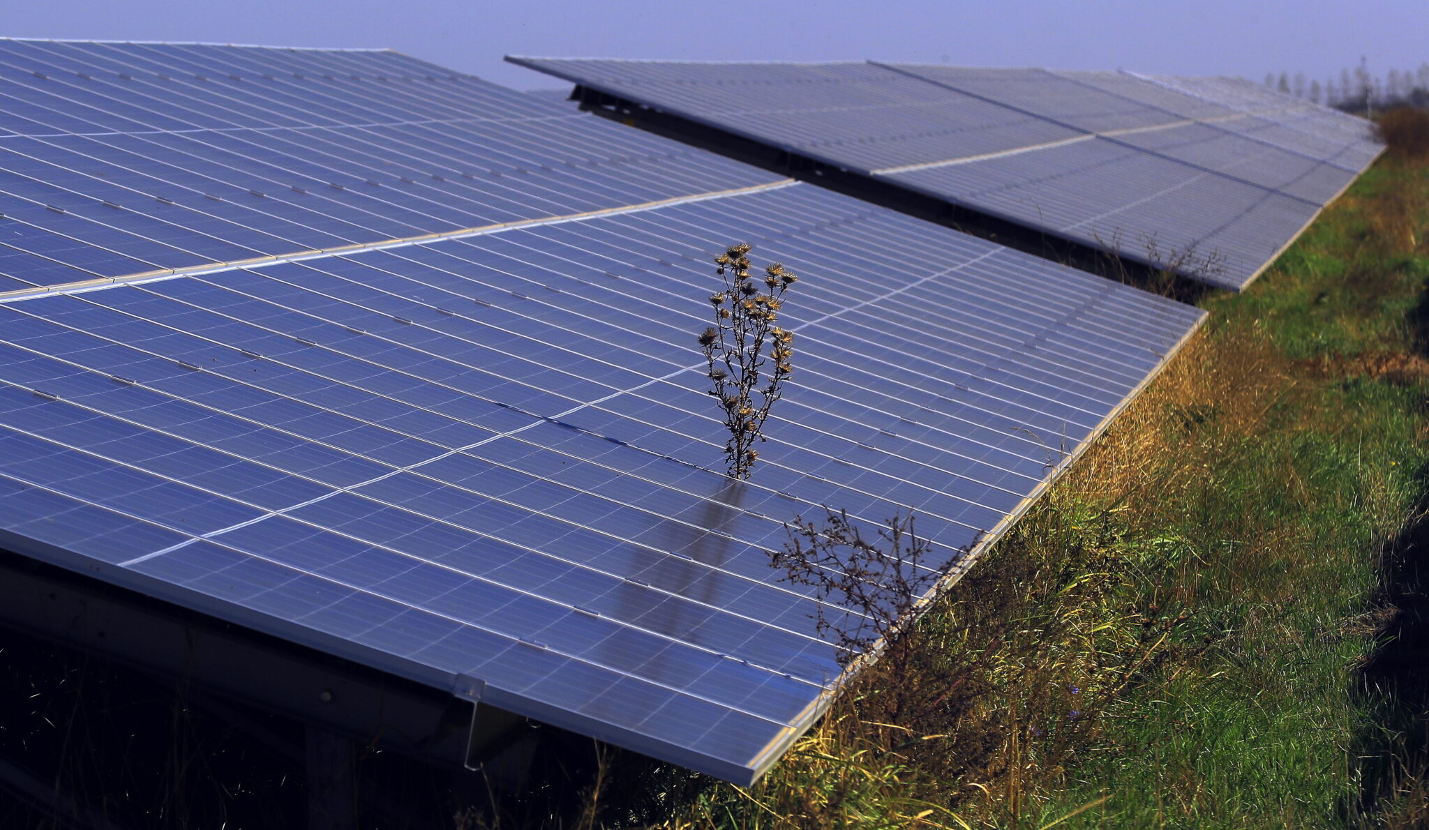 «Φωτοβολταϊκά για Όλους»: 6,000 αιτήσεις για αρχή, με εγγύηση για αποδοτικότητα