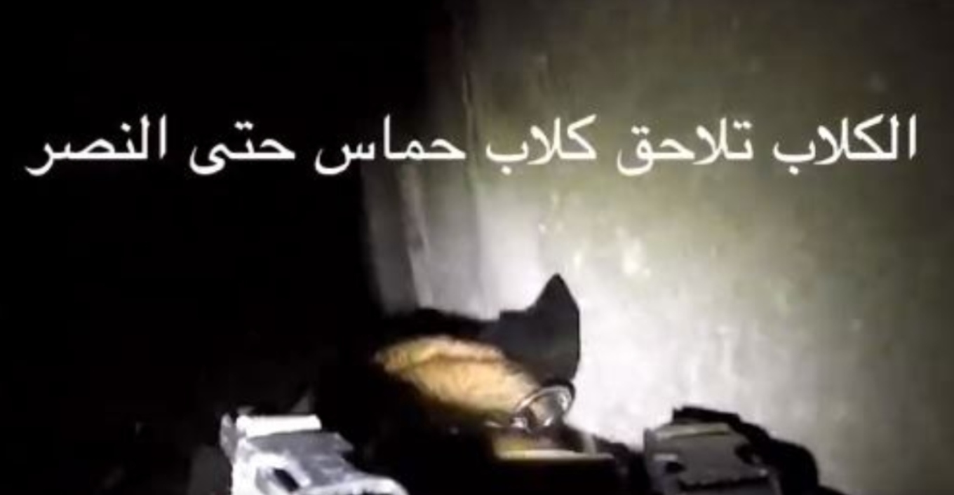 Σκυλιά του ισραηλινού στρατού κυνηγούν στα τούνελ τρομοκράτες της Χαμάς (ΒΙΝΤΕΟ)