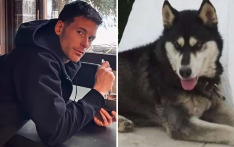 Έγκλημα με το Χάσκι στην Αράχωβα: Πρώην παίκτης Survivor απαντά αν είναι ο θύτης