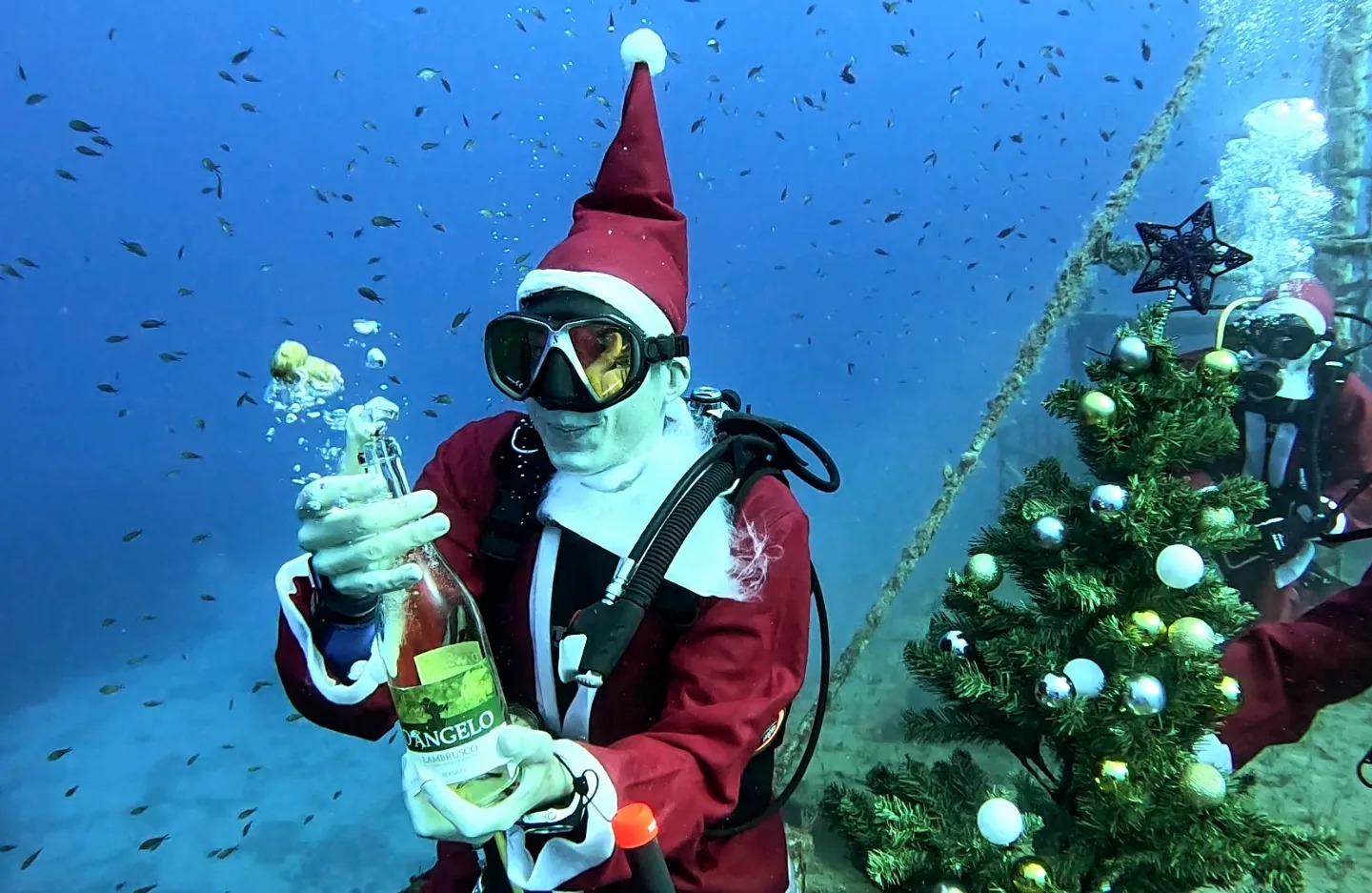 «Θυσίασαν» τη σούβλα και πέρασαν τα Χριστούγεννα στο βυθό