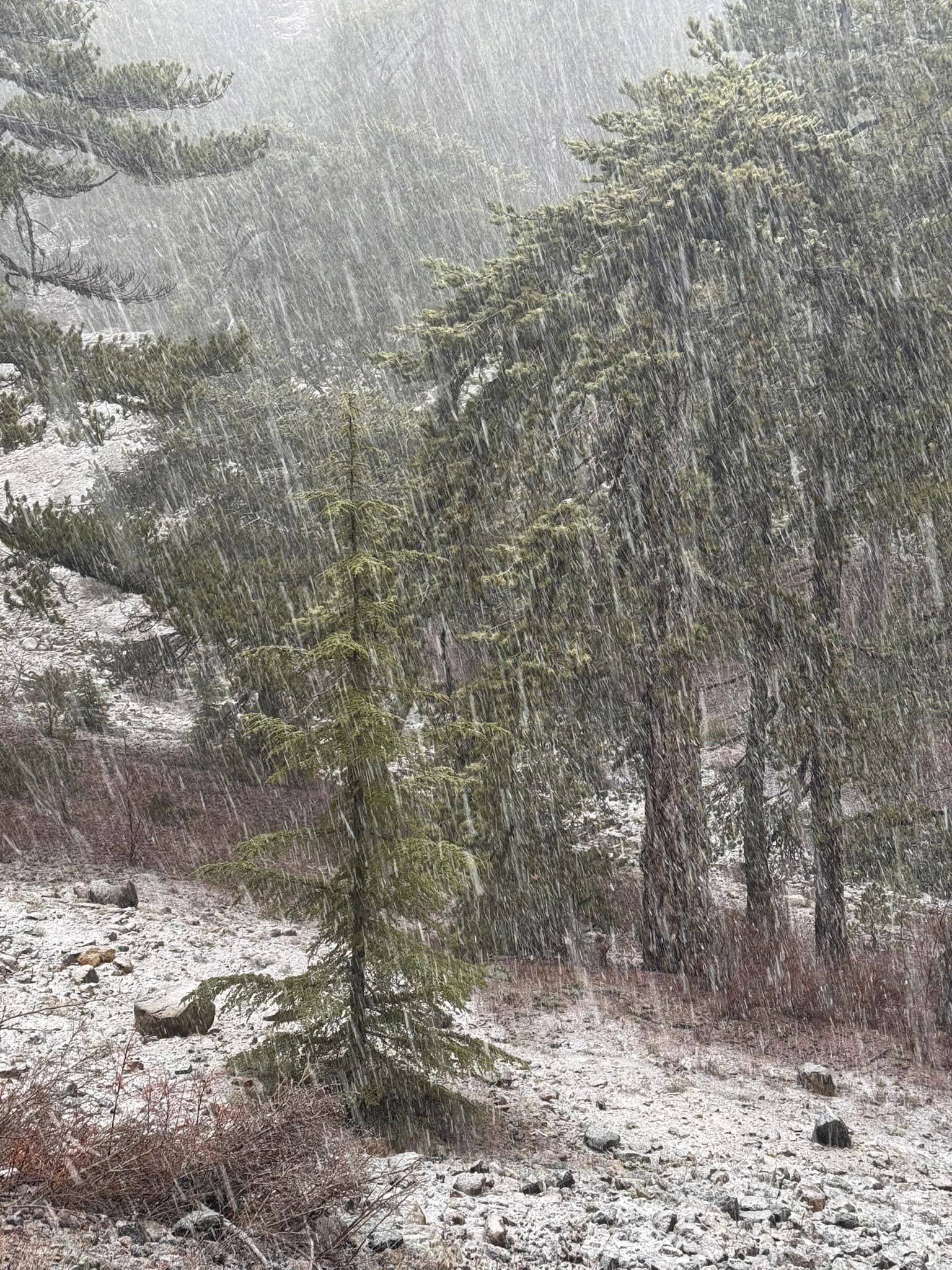 ΒΙΝΤΕΟ: Ντύνεται στα λευκά το Τρόοδος – Μέχρι πότε θα διαρκέσει η χινόπτωση