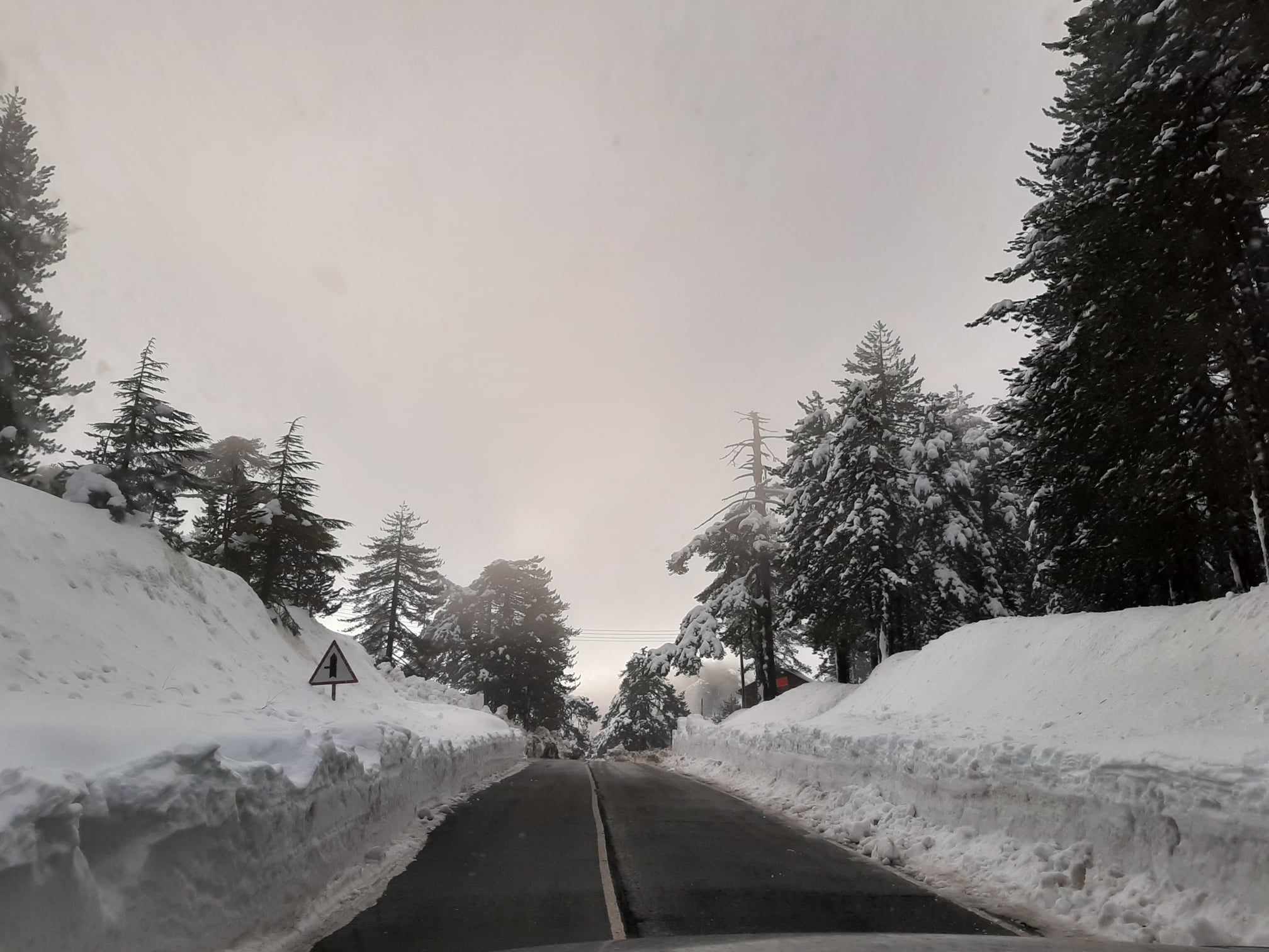 Παραμένει στην κατάψυξη η Κύπρος: Βουτιά στους 4 βαθμούς απόψε η Λευκωσία