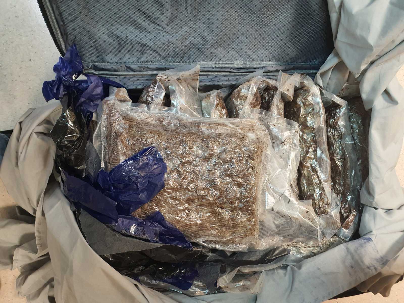 ΦΩΤΟ: Γέμισαν τις αποσκευές τους με 33 κιλά κάνναβη και ταξίδεψαν μέχρι την Πάφο