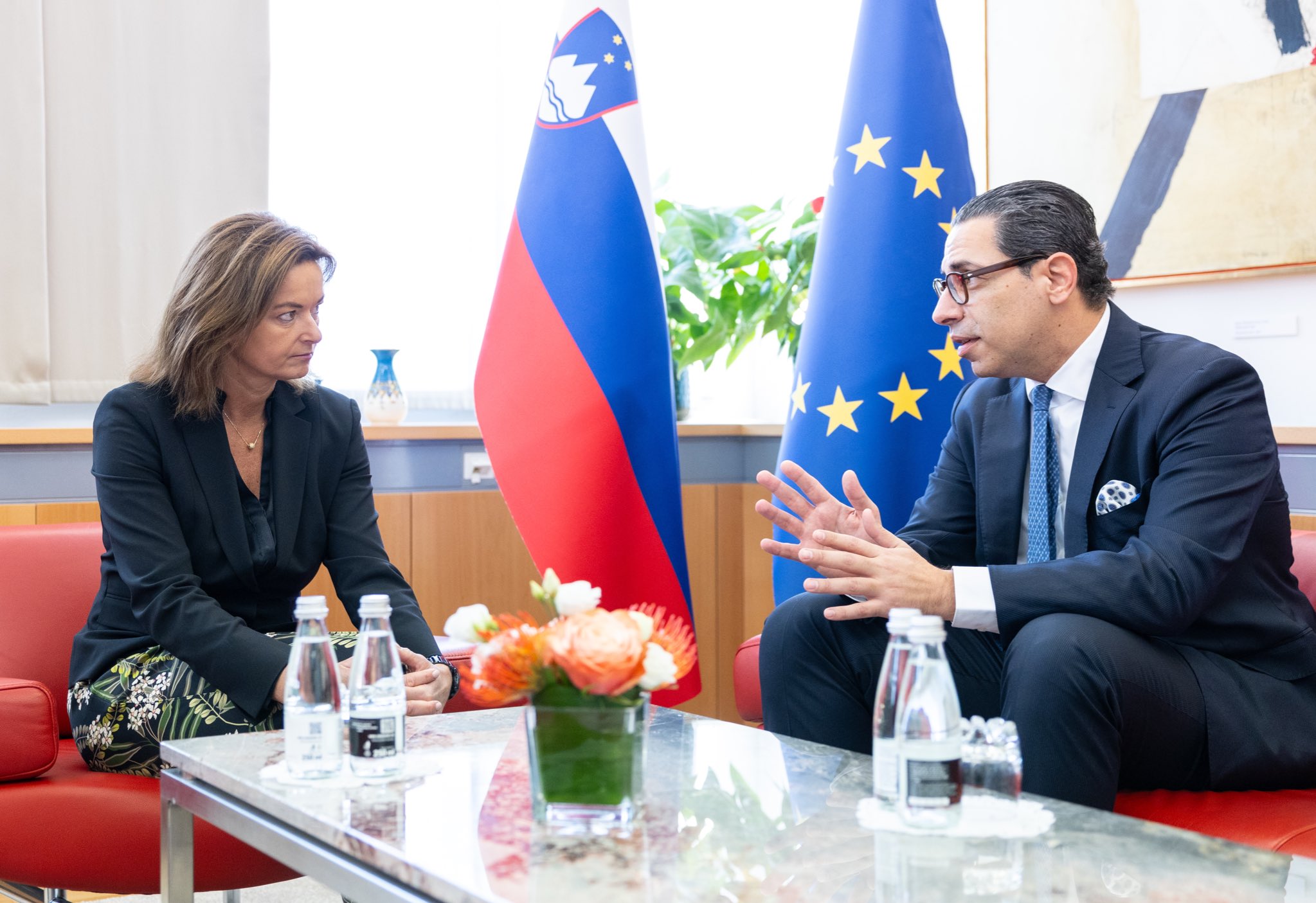 Η Σλοβενία χαιρετίζει τον διορισμό προσωπικής απεσταλμένης ΓΓ για Κύπρο