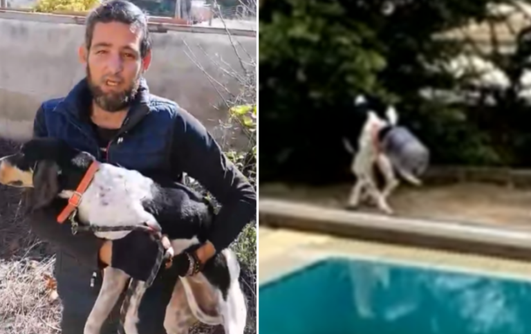 ΒΙΝΤΕΟ: Η στιγμή της διάσωσης του σκύλου που εγκλωβίστηκε σε μπουκάλα νερού