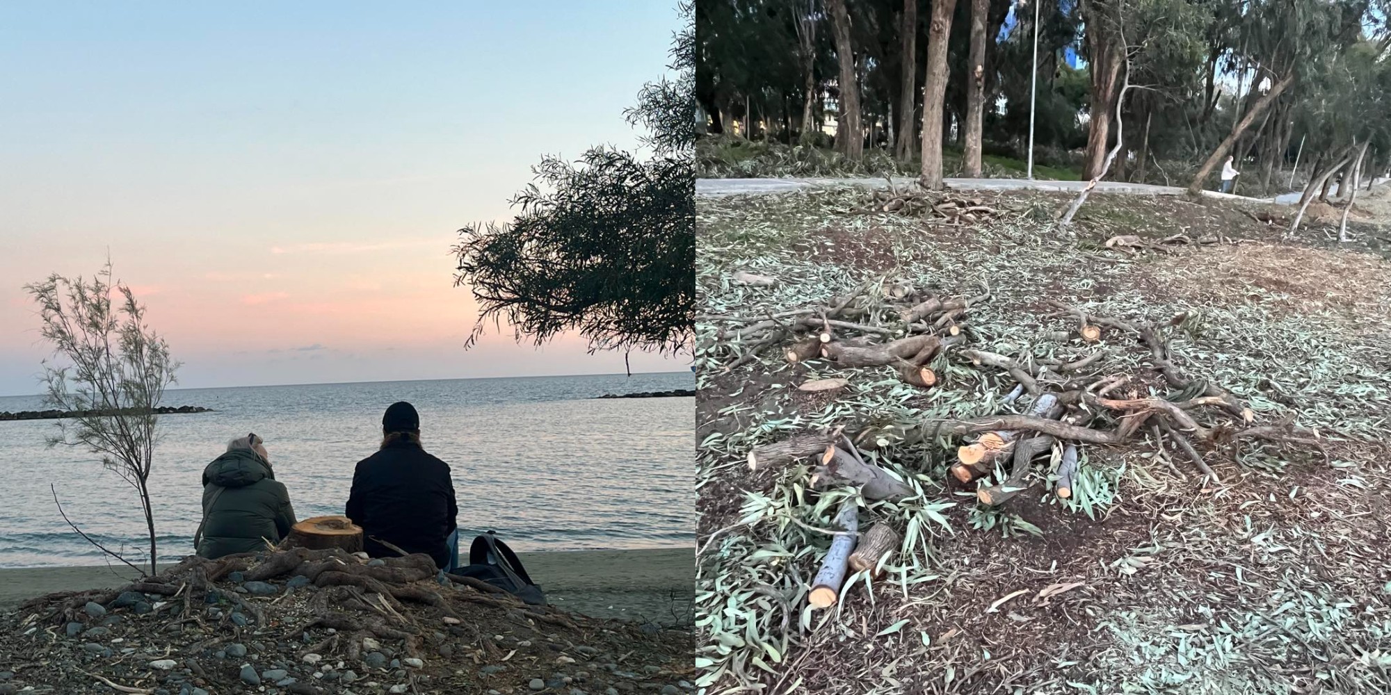 Τμήμα Δασών: Θα δεντροφυτευθεί ο χώρος πρασίνου που πλήγηκε από τη θεομηνία