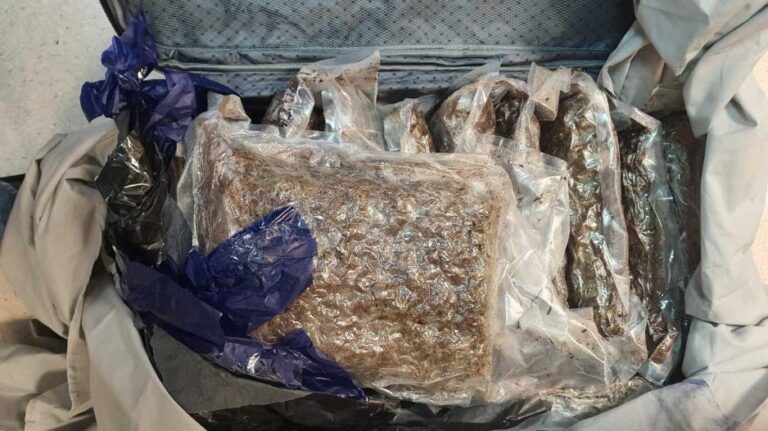 Από Ισπανία το δρομολόγιο των 33kg κάνναβης, ψάχνουν τους επίδοξους παραλήπτες
