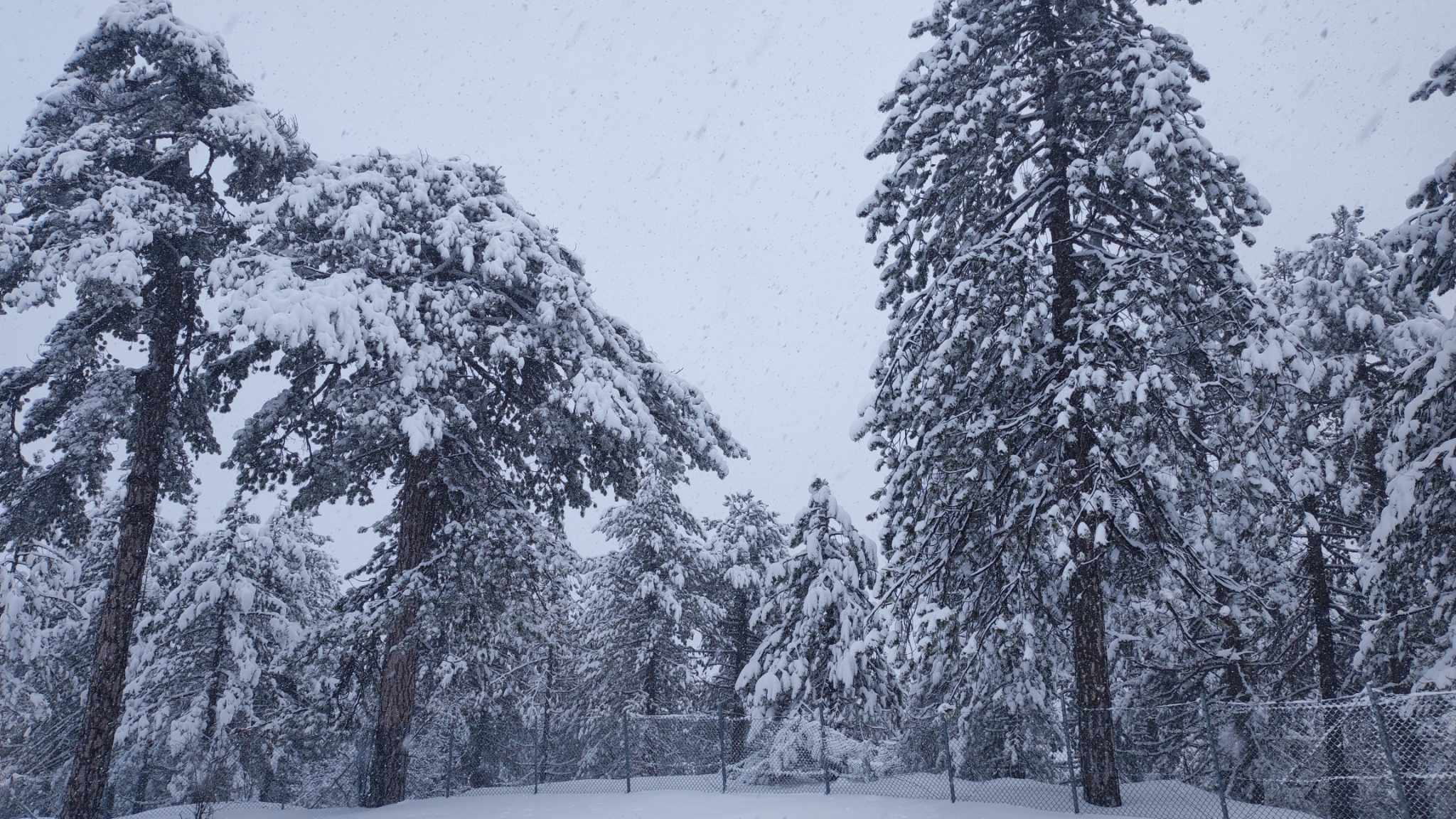 Χιόνια και βροχές στο κλείσιμο της εβδομάδας,αλλαγή σκηνικού τις επόμενες ημέρες