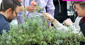 Τριαντάφυλλο από πλανόδια πωλήτρια προσέφερε ο Κασσελάκης στον Τάιλερ (ΦΩΤΟ)